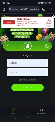 Screenshot_2024-11-17-20-46-16-598_com.android.chrome