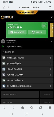 Screenshot_20250327-222059_Samsung Internet