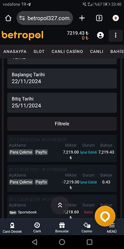 Screenshot_20241125-234052