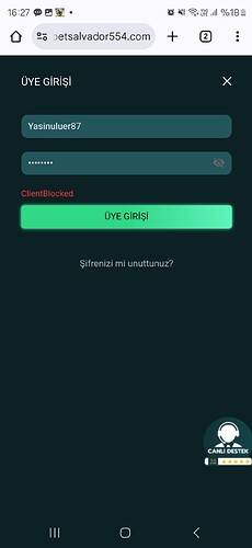 Screenshot_20241130_162710_Chrome