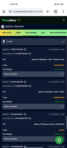 Screenshot_2025-04-01-17-55-02-93_99c04817c0de5652397fc8b56c3b3817