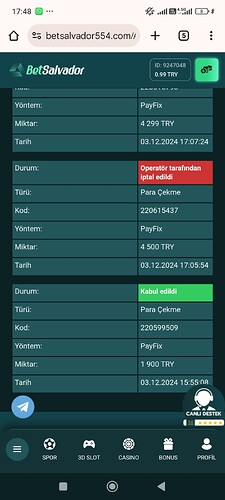 Screenshot_2024-12-03-17-48-41-158_com.android.chrome