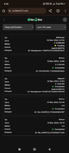 Screenshot_2024-12-02-06-56-50-874_com.android.chrome