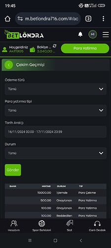 Screenshot_2024-11-17-19-45-29-419_com.android.chrome