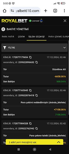 Screenshot_2024-12-17-03-02-13-733_com.android.chrome