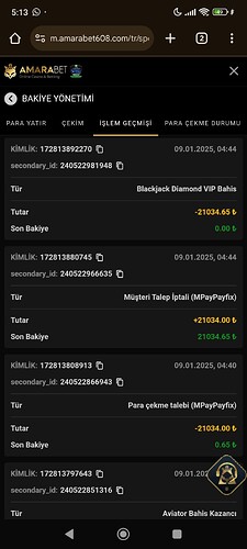 Screenshot_2025-01-09-05-13-07-310_com.android.chrome