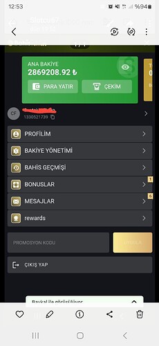Screenshot_20250131_125305_Gallery