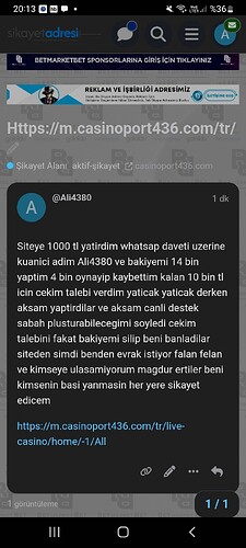 Screenshot_20250301-201329_Samsung Internet