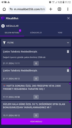 Screenshot_20241121-111228_Chrome