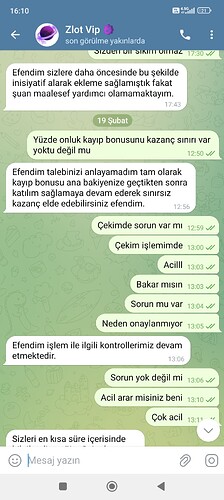 Screenshot_2025-02-19-16-10-44-839_org.telegram.messenger