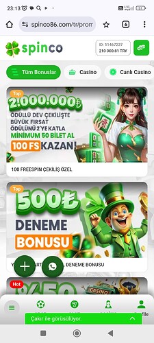 Screenshot_2025-04-17-23-13-30-328_com.android.chrome