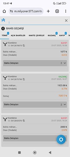 Screenshot_2025-07-24-13-47-29-042_com.android.chrome