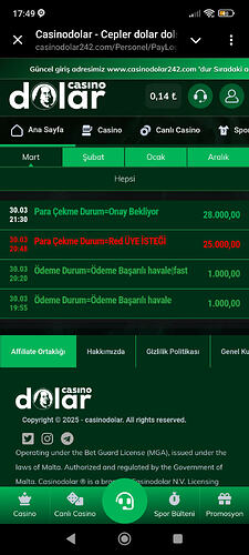 Screenshot_2026-03-31-17-49-38-084_org.vidogram.messenger