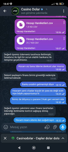 Screenshot_2026-03-31-18-47-23-727_org.vidogram.messenger
