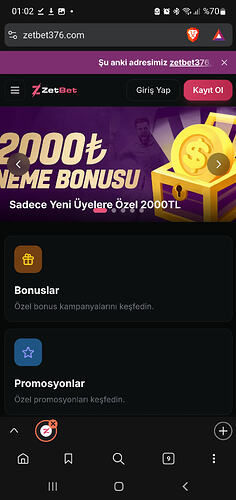 Screenshot_20260403-010215_Brave