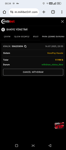 Screenshot_20250717-003437