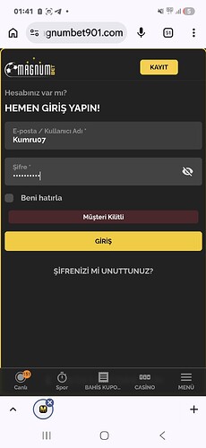Screenshot_20260829_014153_Chrome