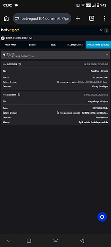 Screenshot_20260314-030227