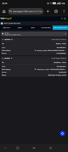 Screenshot_20260314-020449